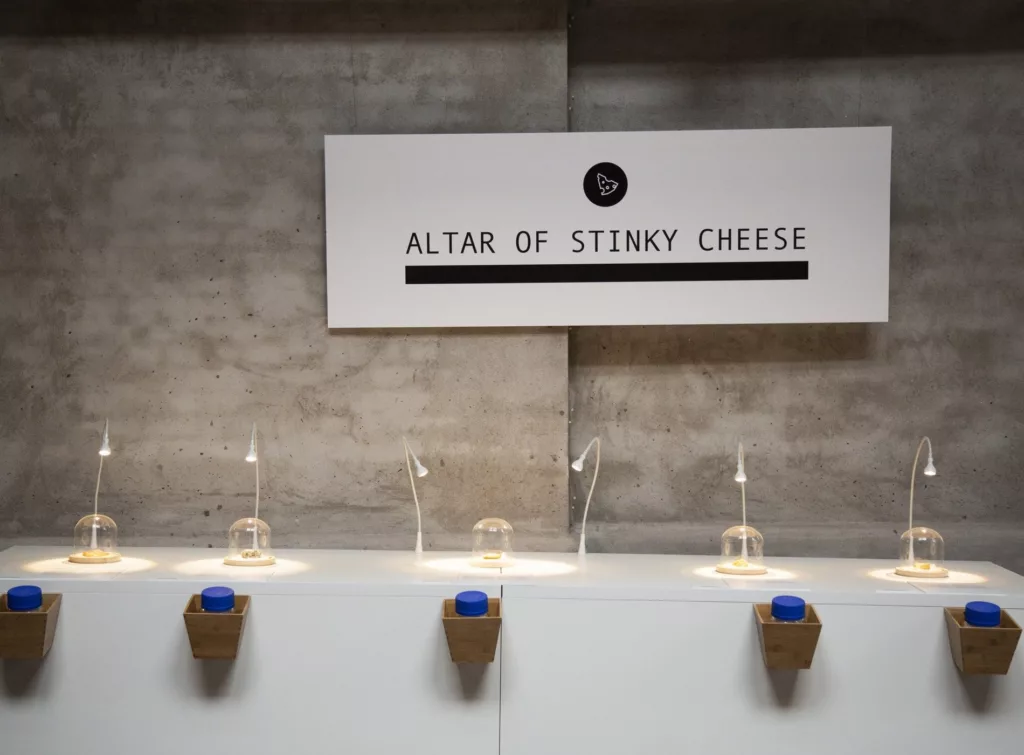 disgusting food museum