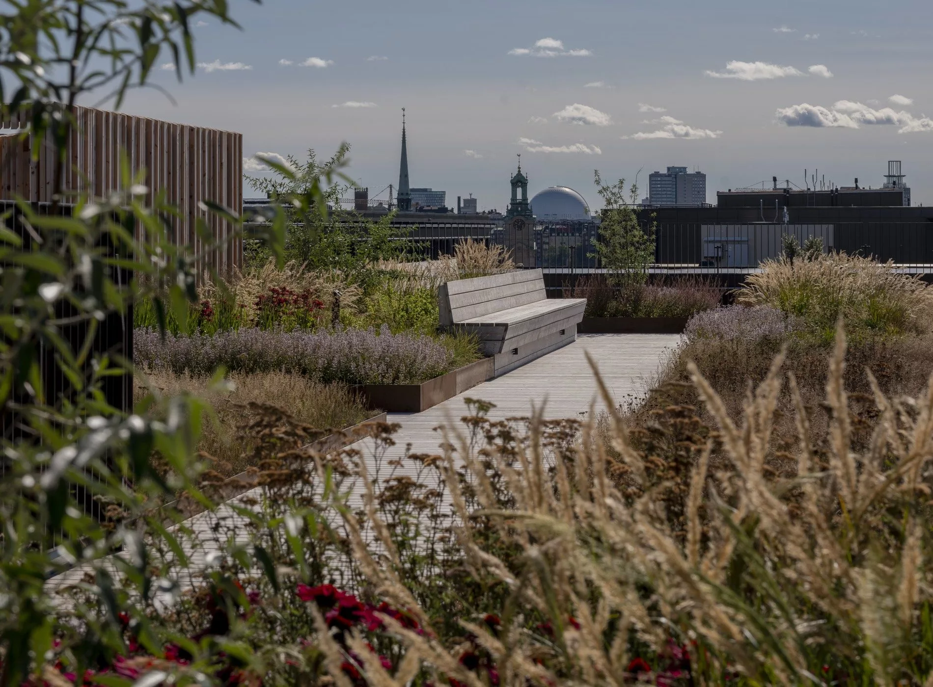 Utsikt över takterrass på Sergelhuset med mycket växtlighet.
