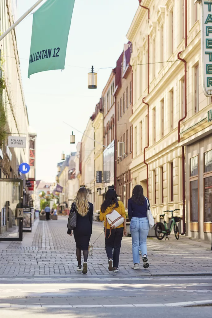 Vy över shoppinggatan Vallgatan i Magasinstan.