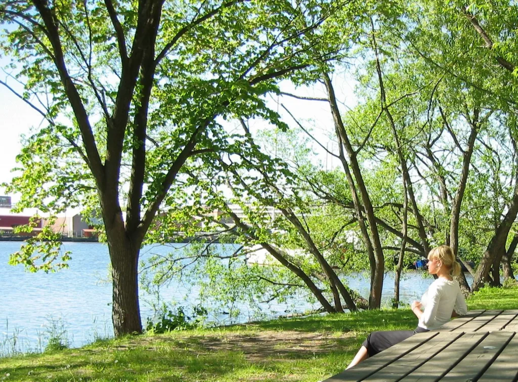 En person sitter på en bänk vid en sjö omgiven av träd och grönska en solig dag.