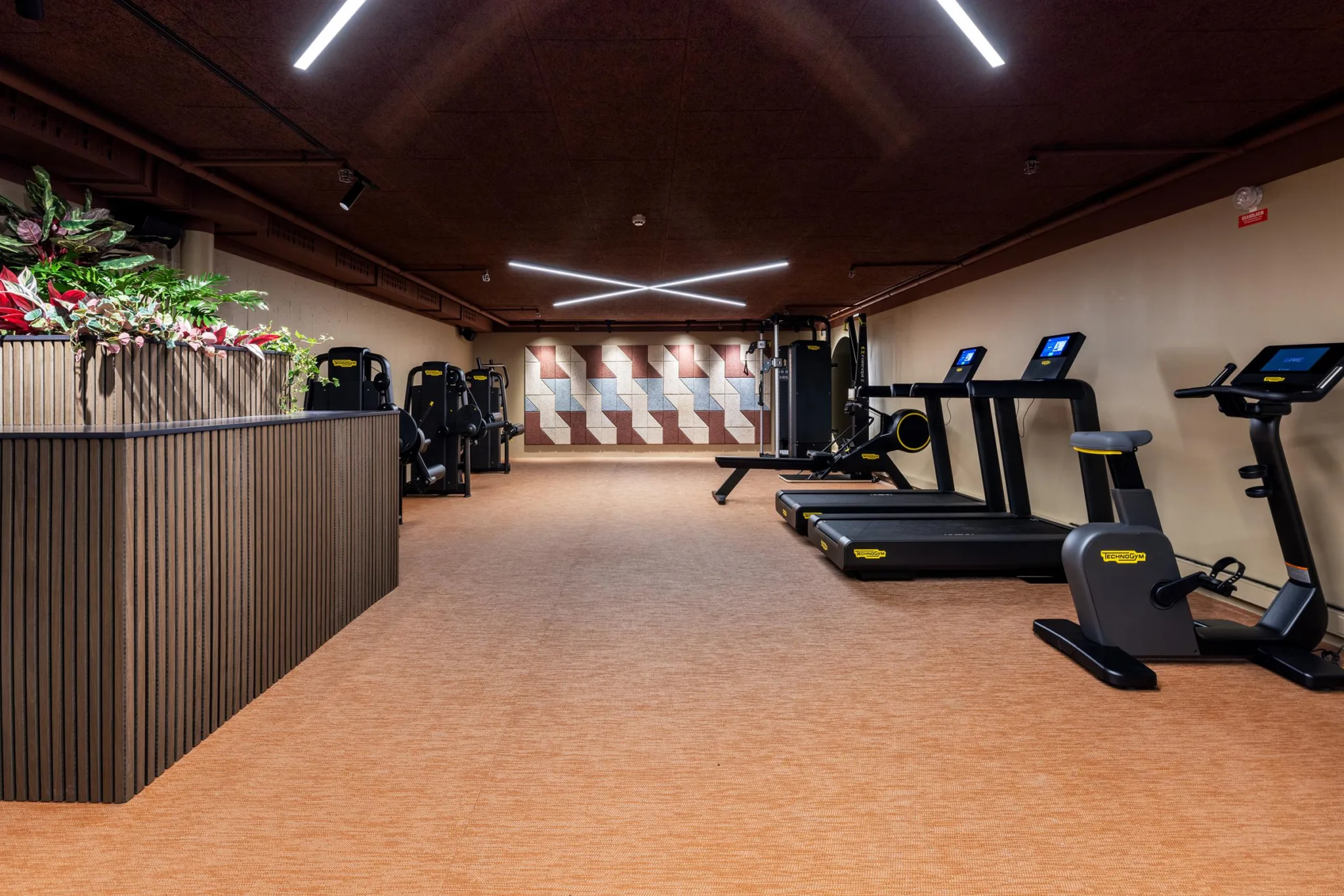 Ett gym med löpband, träningsmaskiner och väggdekorationer i ett varmt belyst rum.