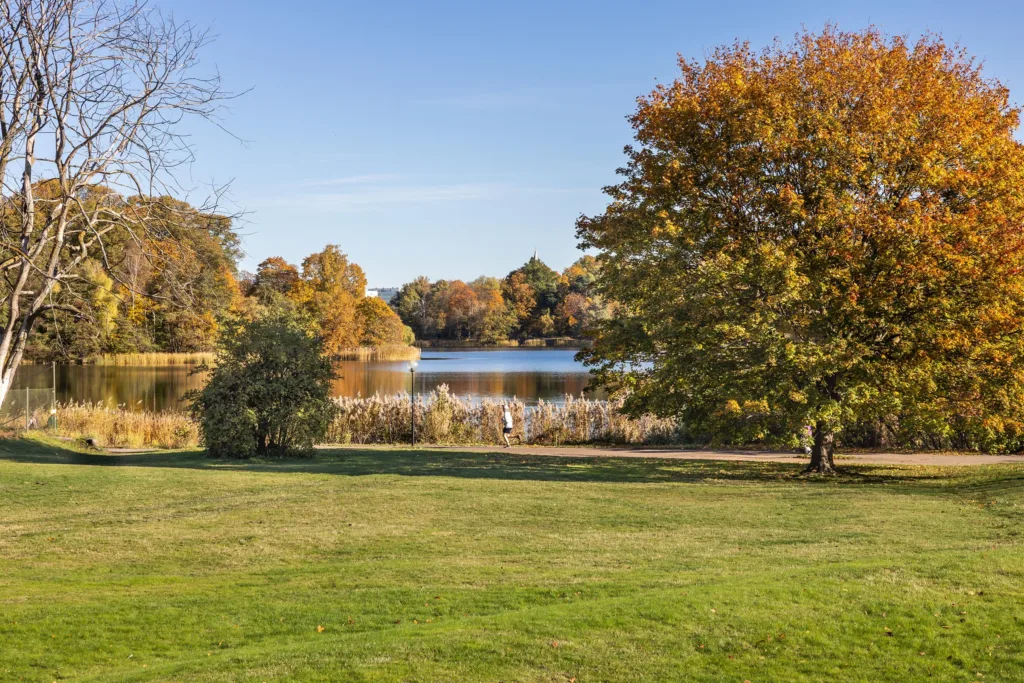 En grön park med träd i höstfärger och en sjö i bakgrunden under en klarblå himmel.