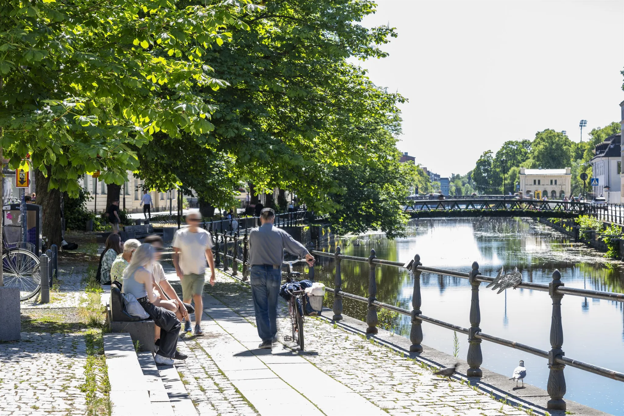 En solig dag vid en flod med människor som sitter, promenerar och cyklar längs en stenlagd gångväg under skuggande träd.