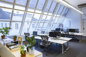 Ett kontor med stora lutande glasfönster, skrivbord, kontorsstolar och krukväxter.