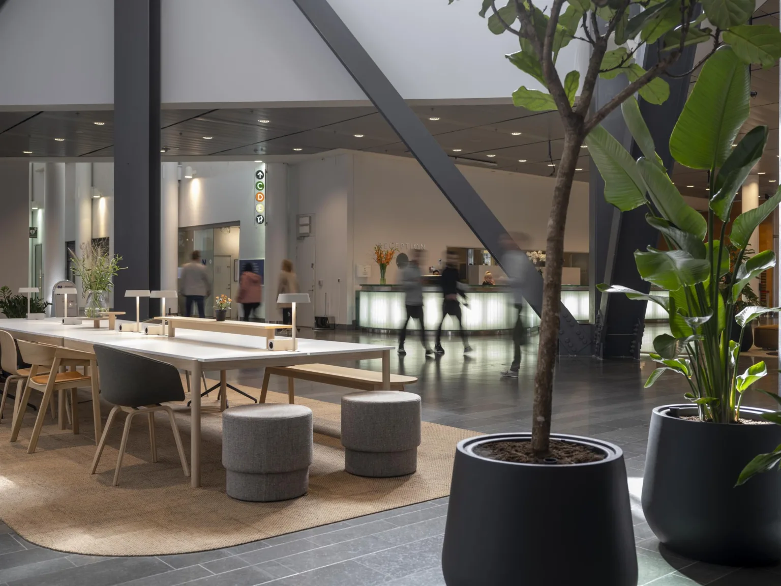 En öppen lounge med sittplatser, stora krukväxter och ett caféområde i bakgrunden.