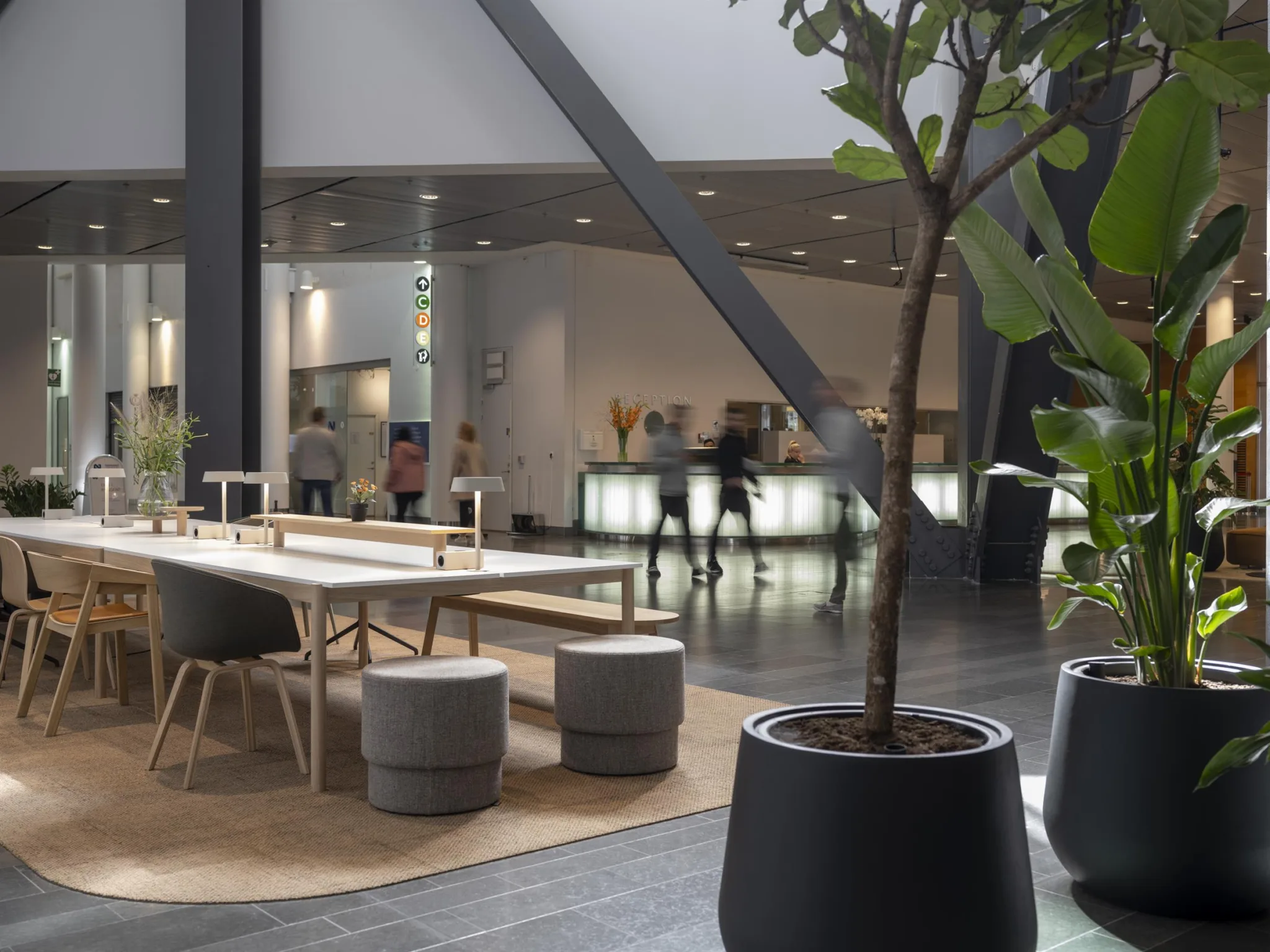 En öppen lounge med sittplatser, stora krukväxter och ett caféområde i bakgrunden.