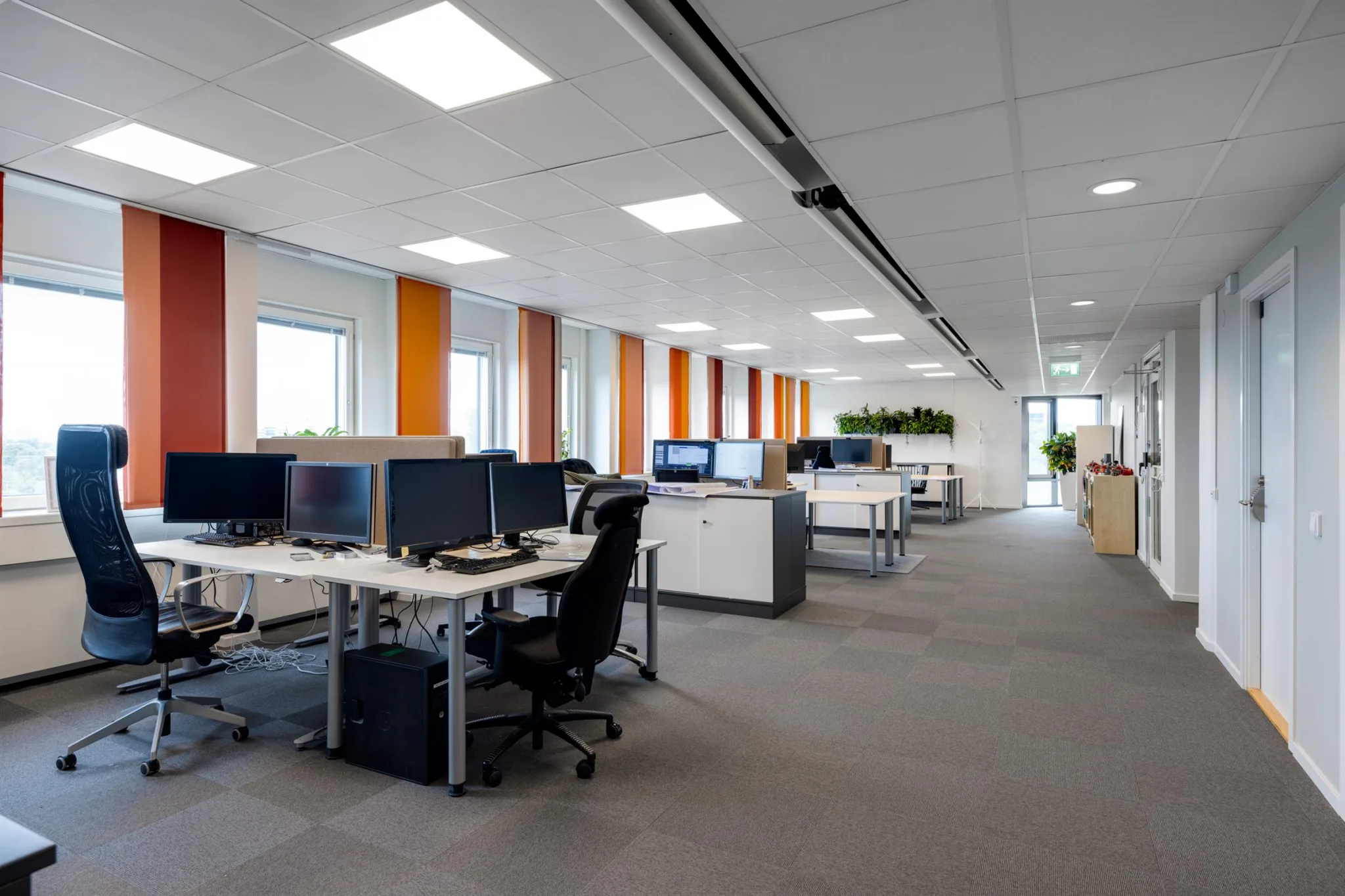 Ett öppet kontorslandskap med skrivbord, datorer, stolar och fönster med orangea gardiner.