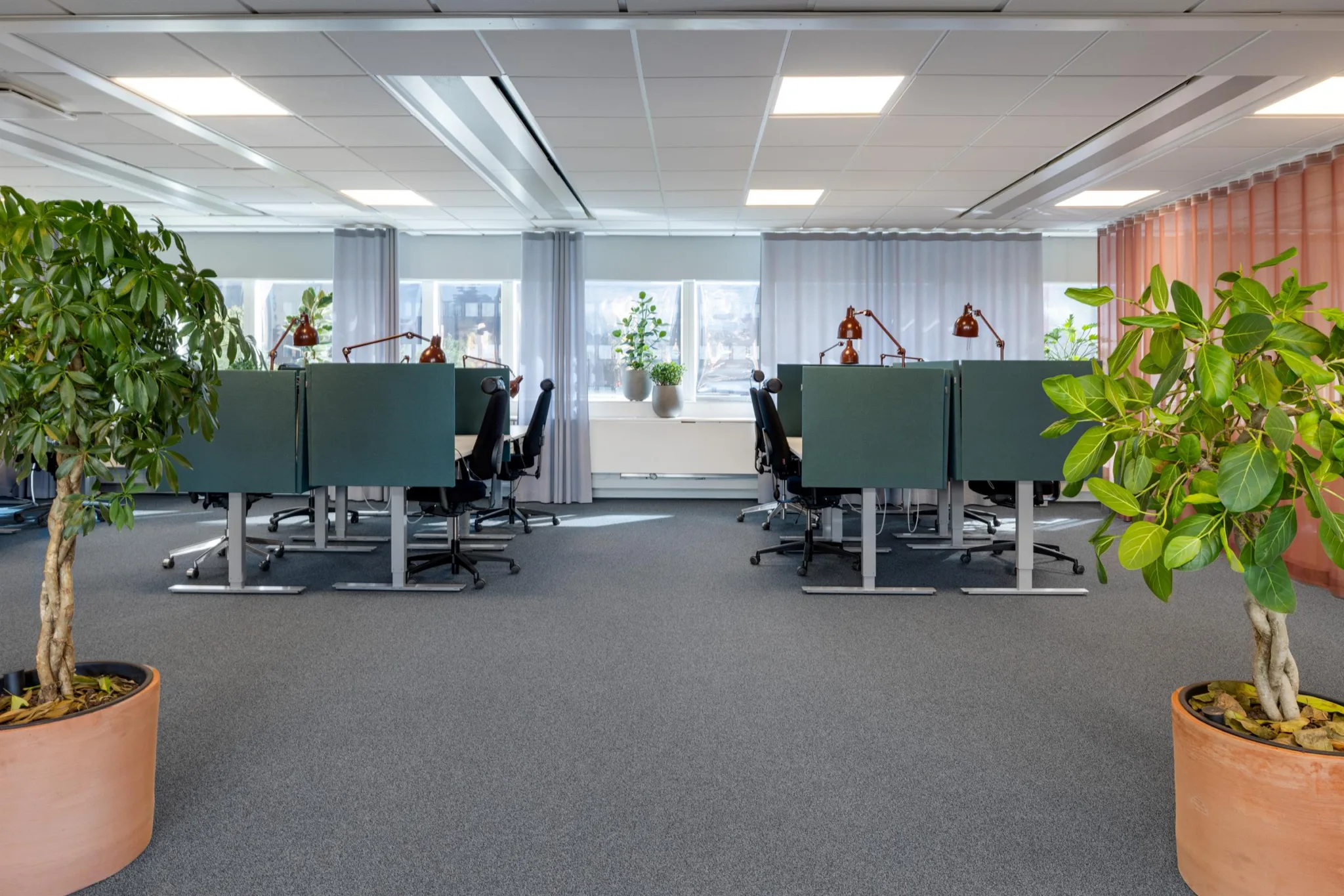 Ett öppet kontorsutrymme med flera arbetsstationer, gröna avskärmningar och röda lampor, samt stora fönster med dagsljus.