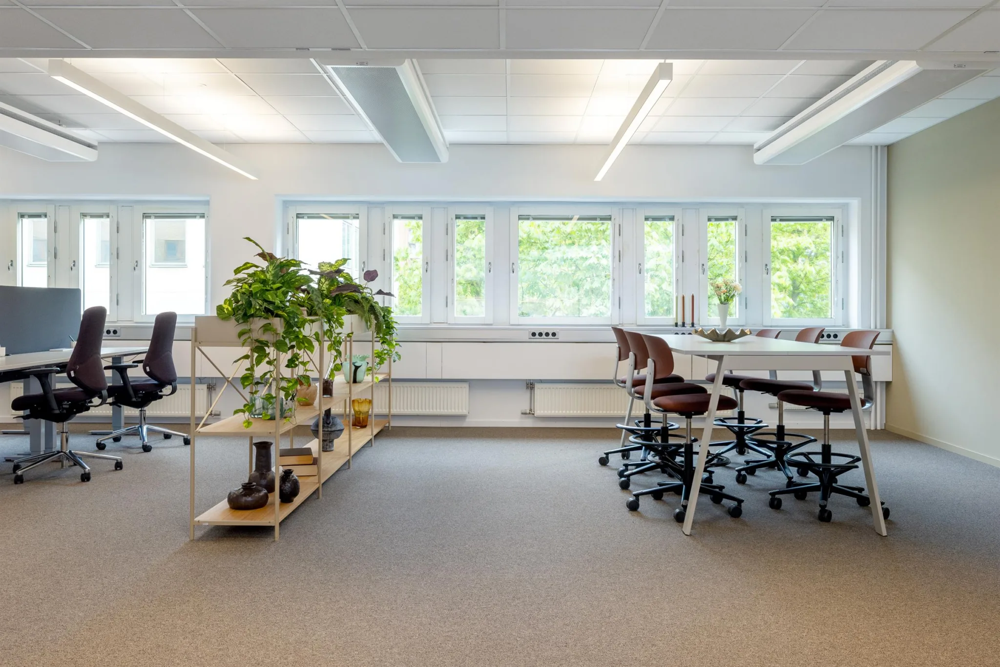 5. Ett kontorsrum med skrivbord, kontorsstolar och hyllor med grön växt, framför stora fönster med utsikt över grönska.