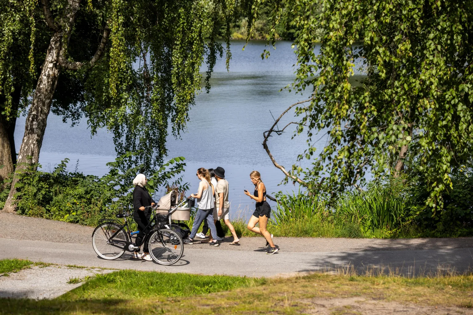 En parkstig vid en sjö där människor går, joggar och cyklar under hängande trädkvistar.