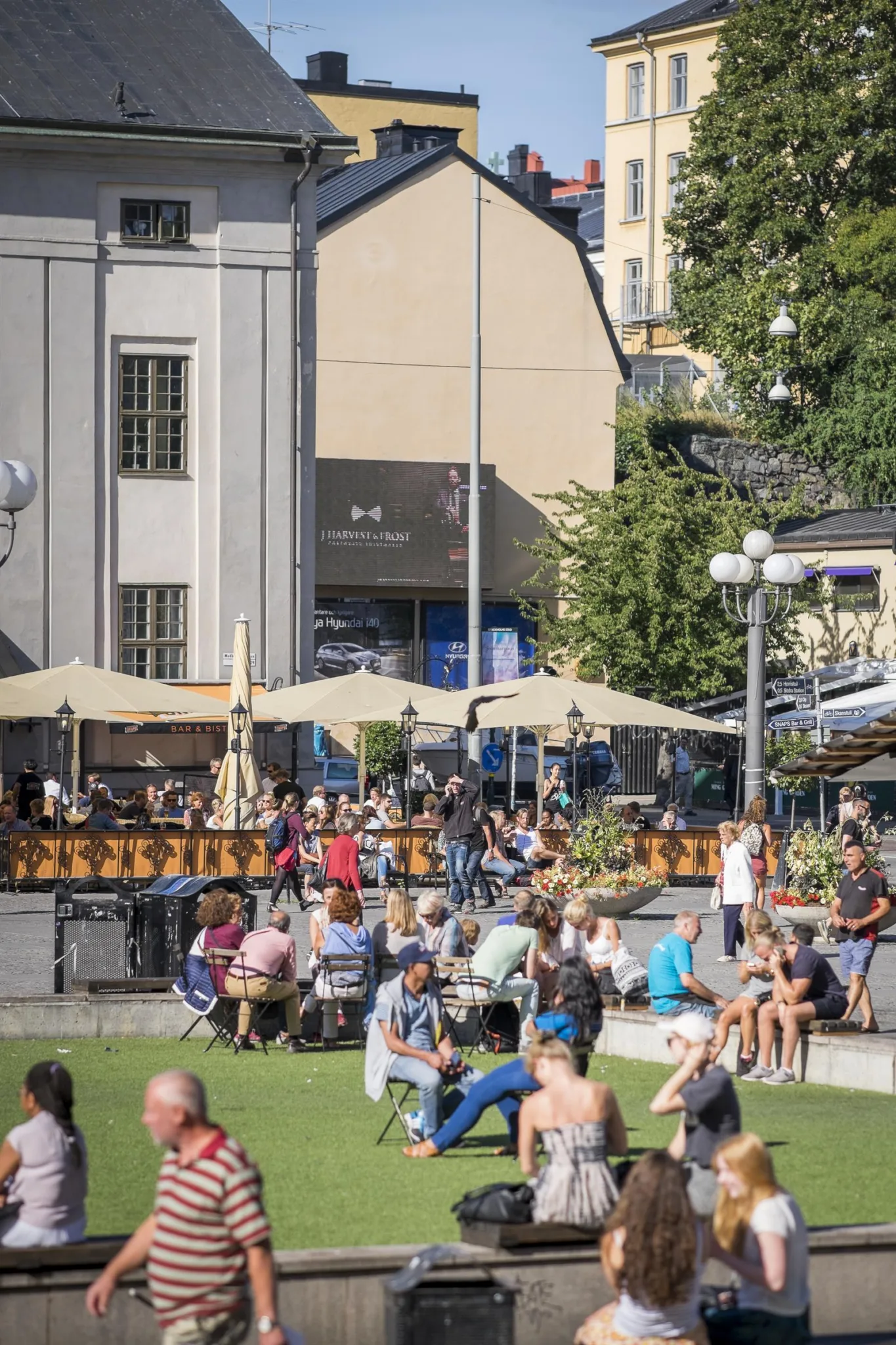 En livlig utomhusmiljö med människor som sitter på en gräsmatta och vid ett kafé med parasoller; byggnader och träd syns i bakgrunden.
