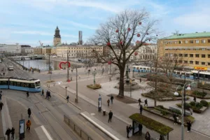 2. Ett torg med träd dekorerade med röda prydnader, spårvagnar och omgivande byggnader.