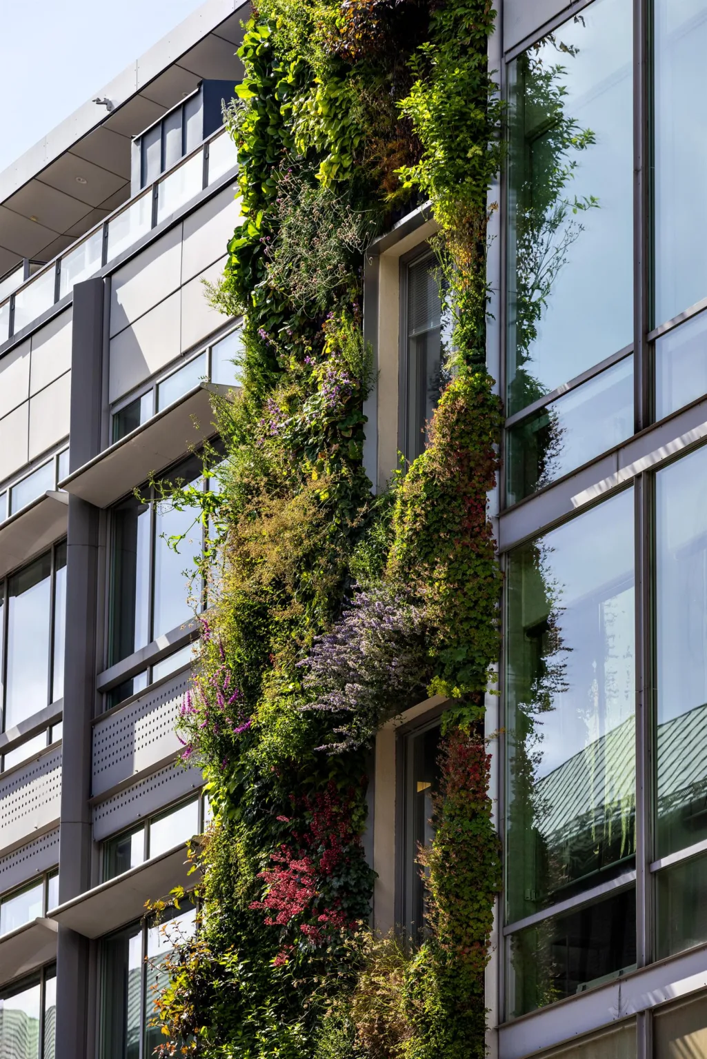 Fasad av en byggnad med vertikal trädgård täckt av grönska och blommor.