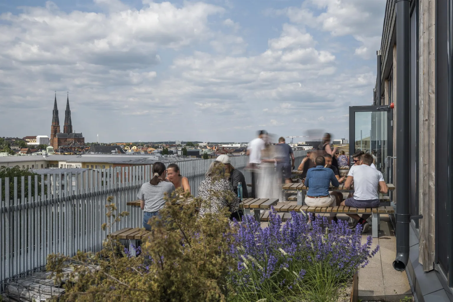 En takterrass med människor som sitter och pratar, omgiven av blommor och utsikt över staden.