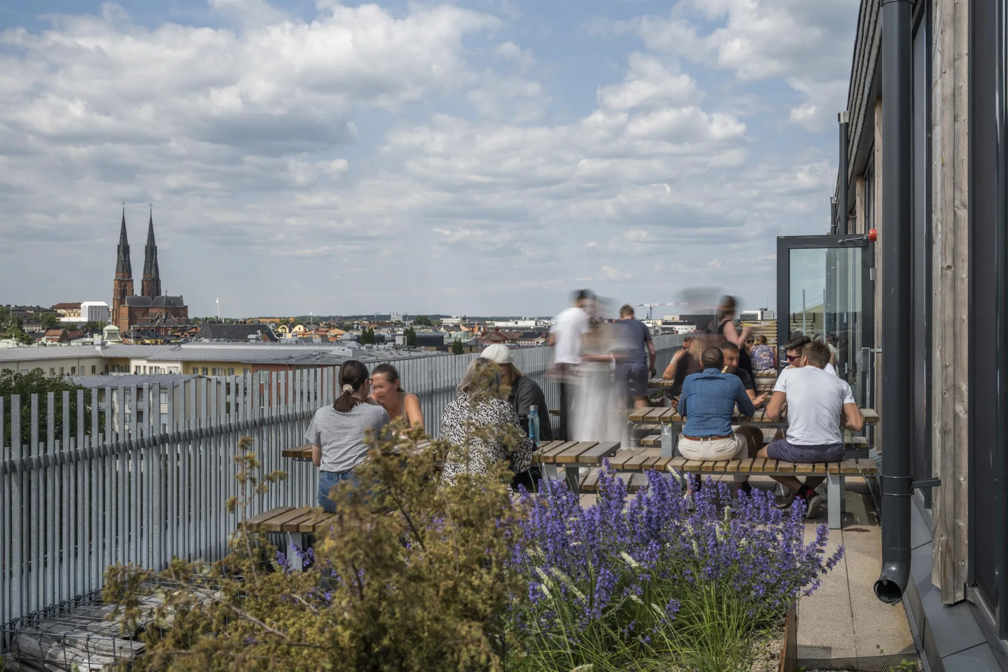En takterrass med människor som sitter och pratar, omgiven av blommor och utsikt över staden.