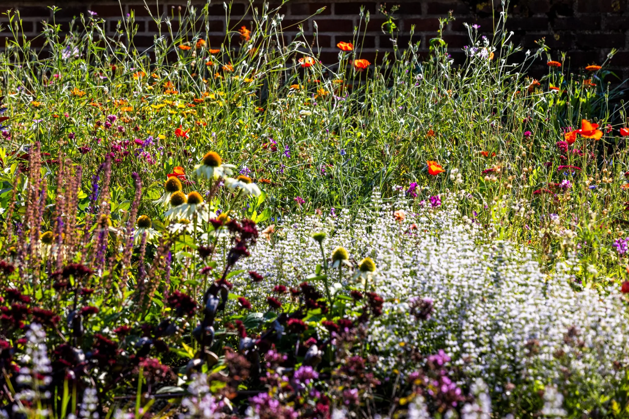 En blomsteräng med färgglada blommor och grönskande växter.