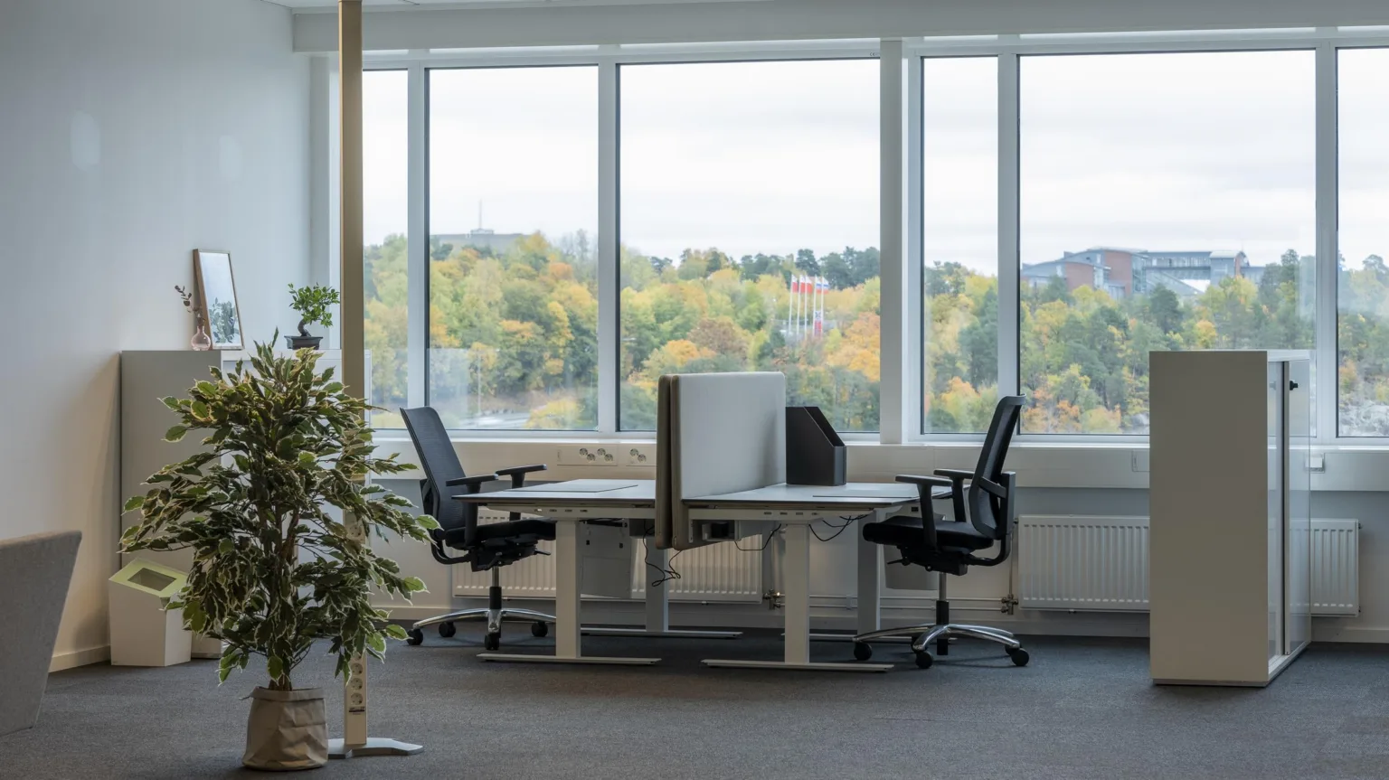 Två skrivbord med svarta kontorsstolar, separerade av en skärm, framför stora fönster med utsikt över träd i höstfärger.