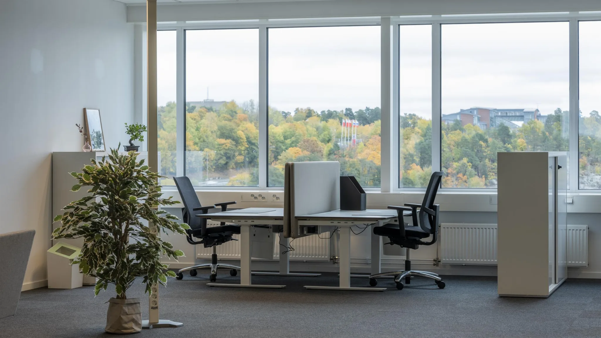 Två skrivbord med svarta kontorsstolar, separerade av en skärm, framför stora fönster med utsikt över träd i höstfärger.
