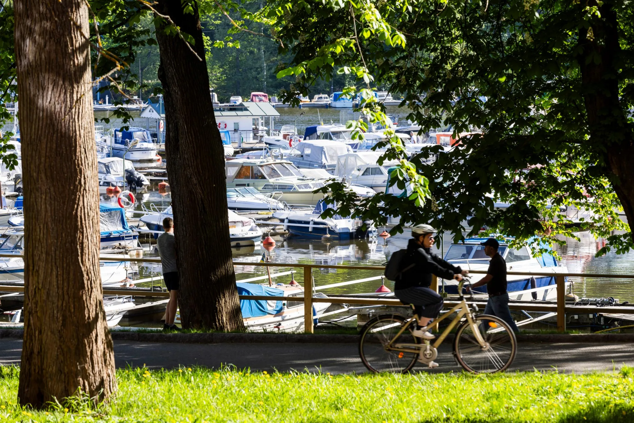 En park med cyklister på en väg i förgrunden och båtar förtöjda vid en småbåtshamn i bakgrunden.