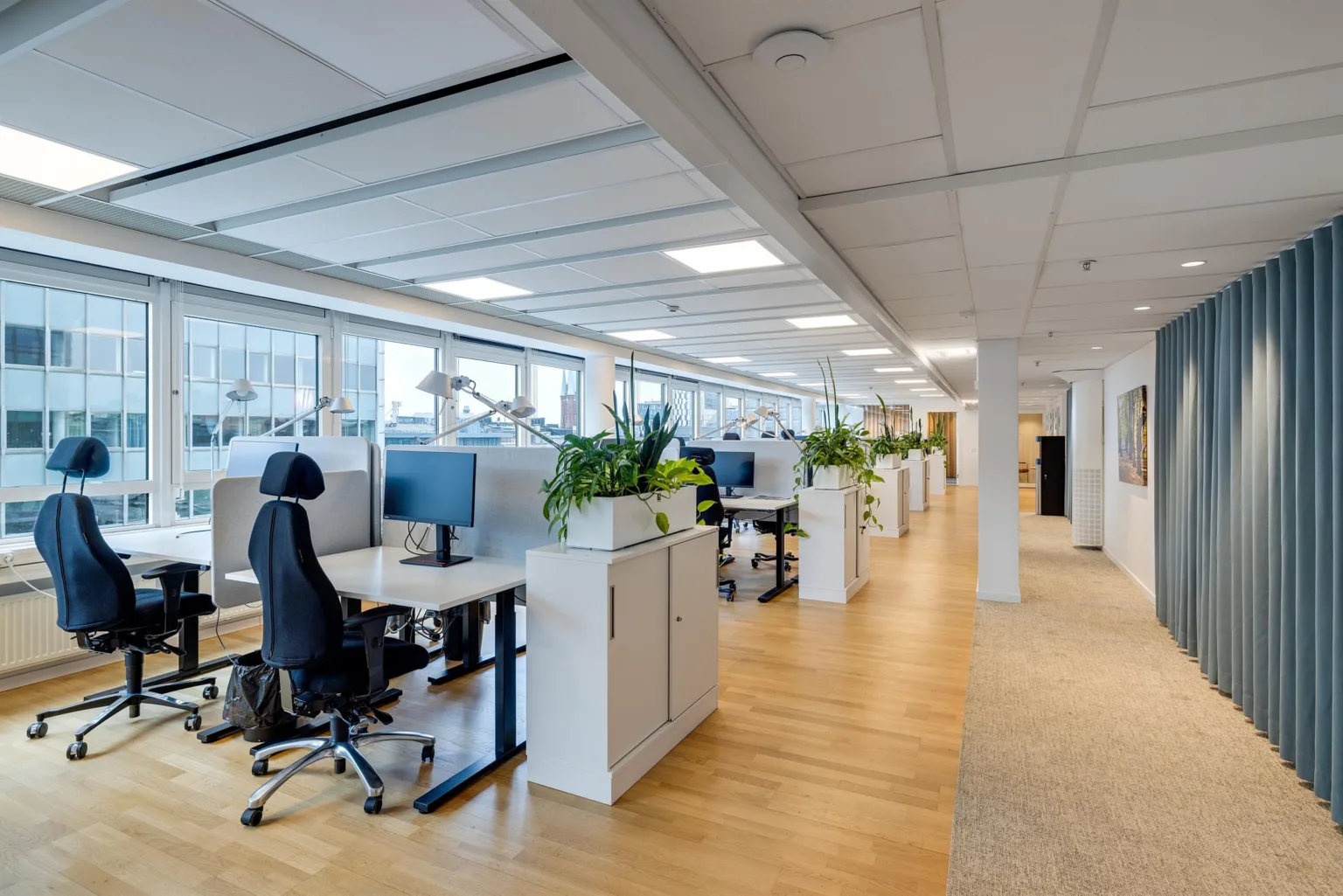 Kontorslandskap med arbetsstationer, växter och höga fönster som ger mycket naturligt ljus.