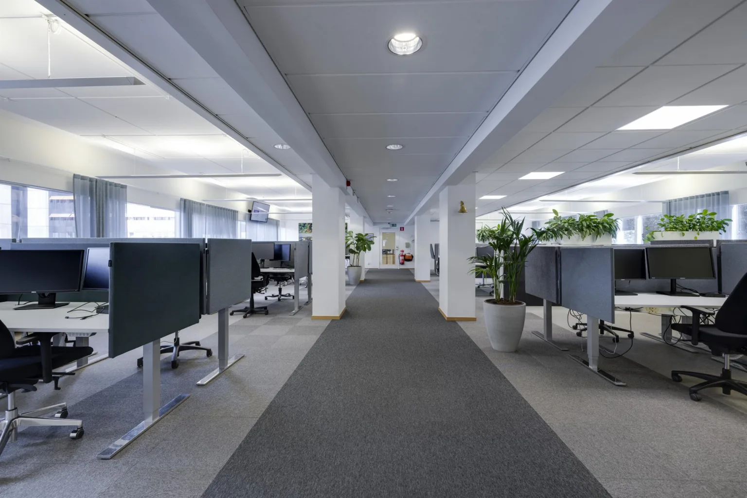 1. En kontorsmiljö med en lång korridor och arbetsstationer på båda sidor, dekorerade med papperskorgar och gröna krukväxter.