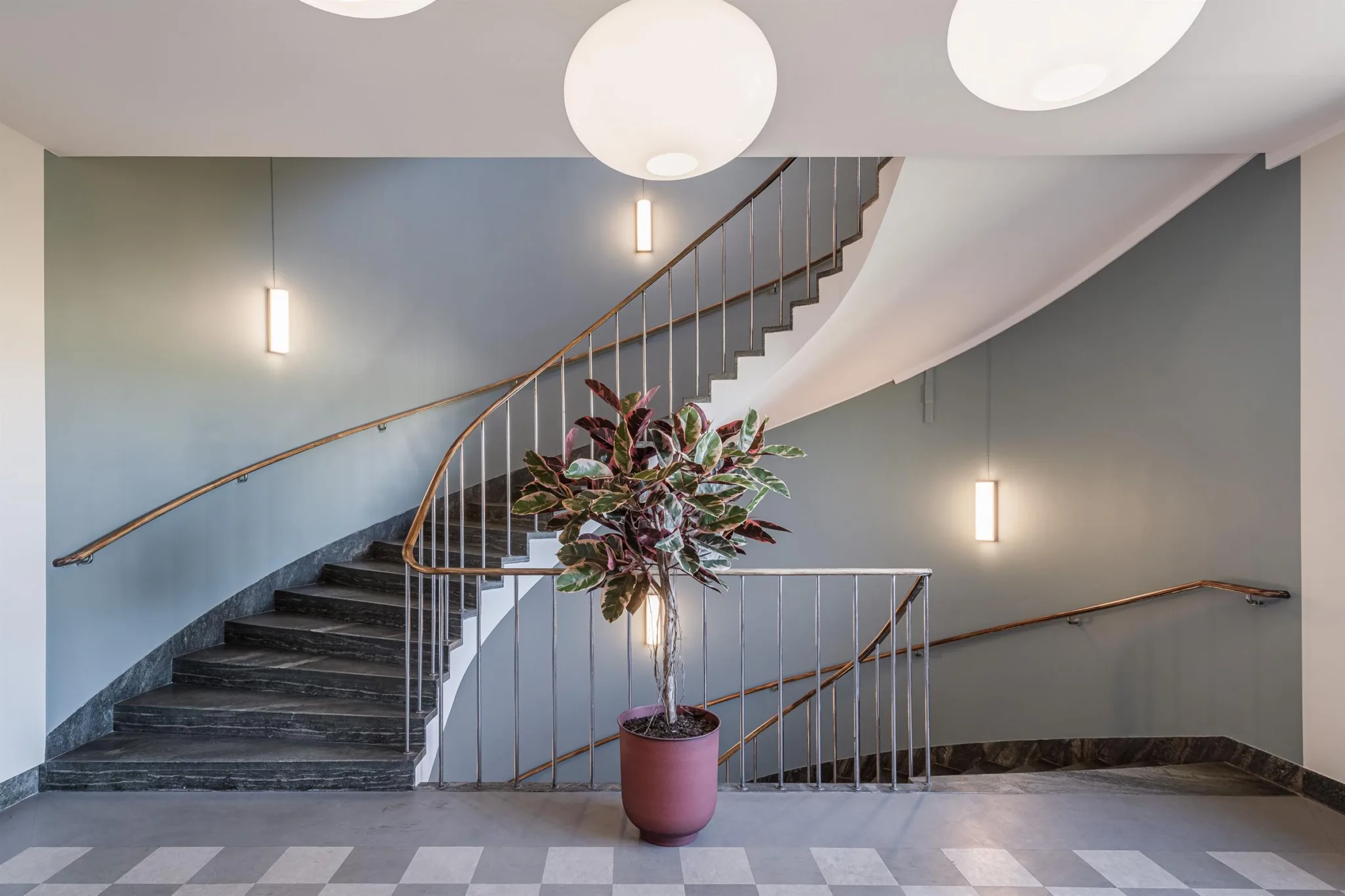 En spiraltrappa med gråa väggar, modern belysning och en stor krukväxt i centrum.