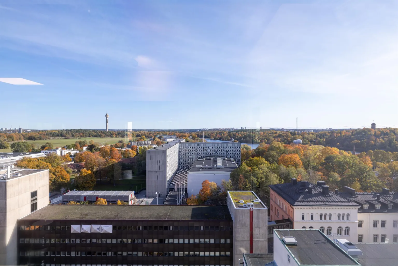 Vy över byggnader och träd med höstfärger under en klar blå himmel.