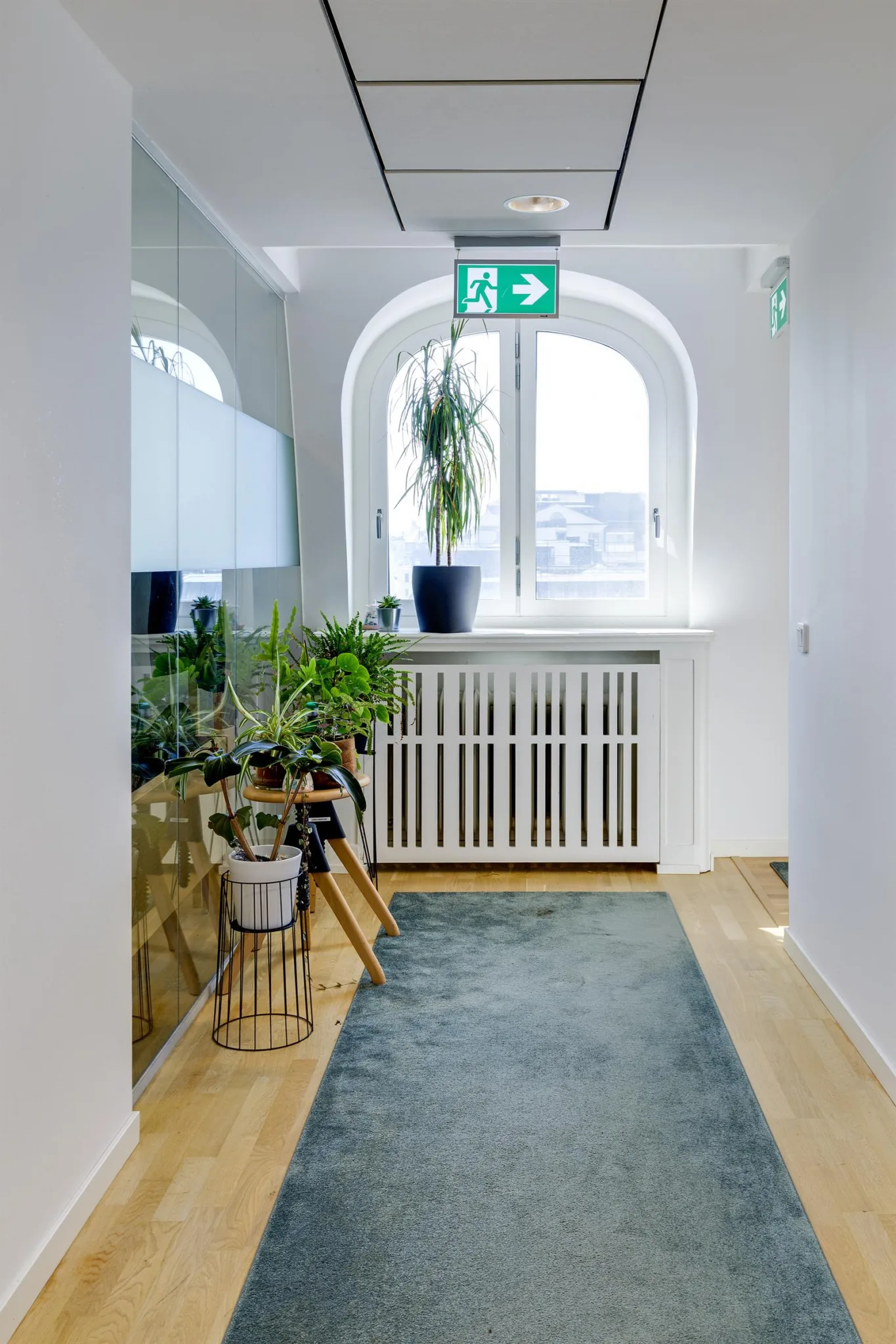 En ljus korridor med gröna växter, blå matta och en nödbelysningsskylt ovanför fönstret.