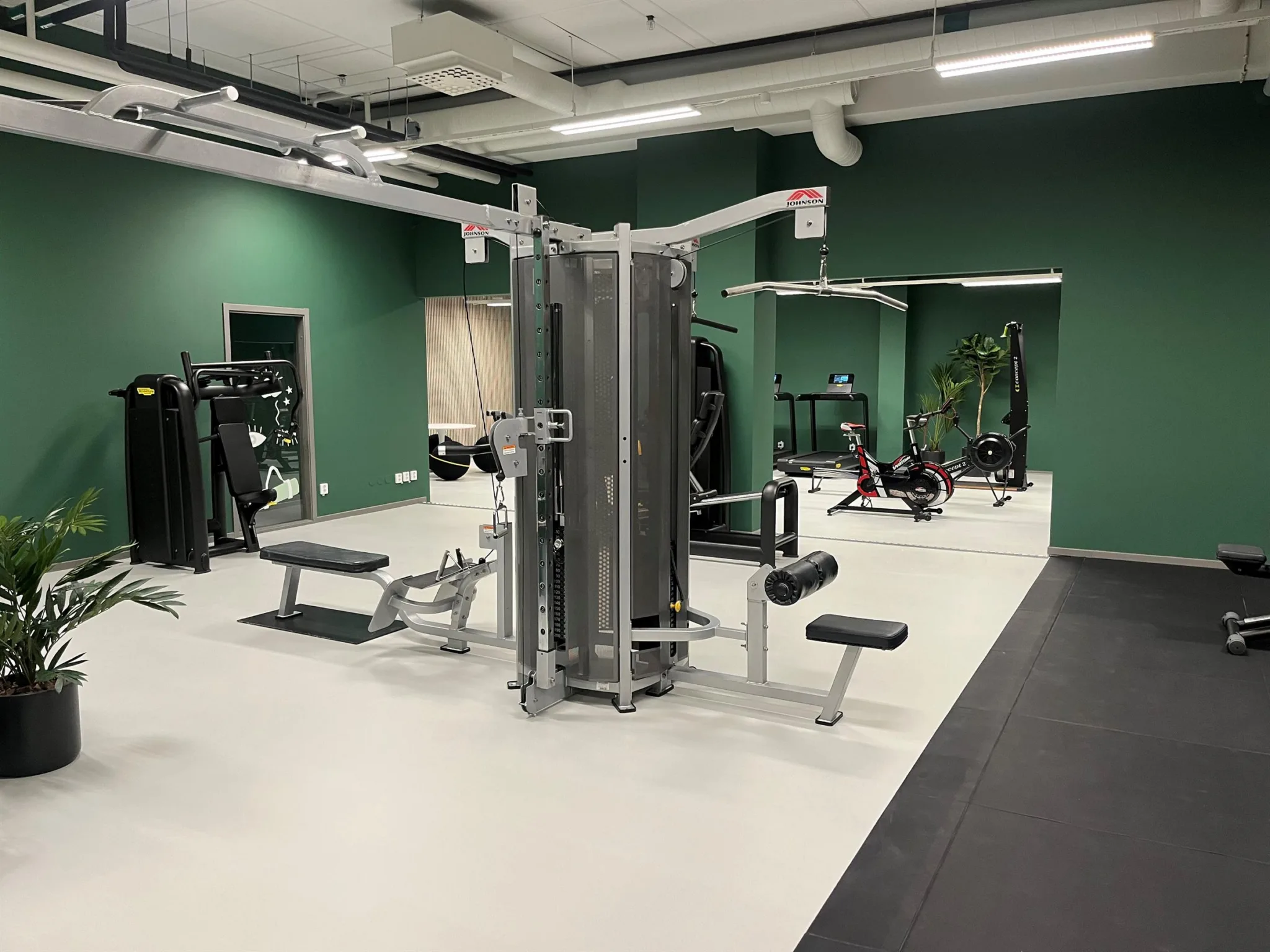 1. Gym med gröna väggar, maskiner för styrketräning och fria vikter.
