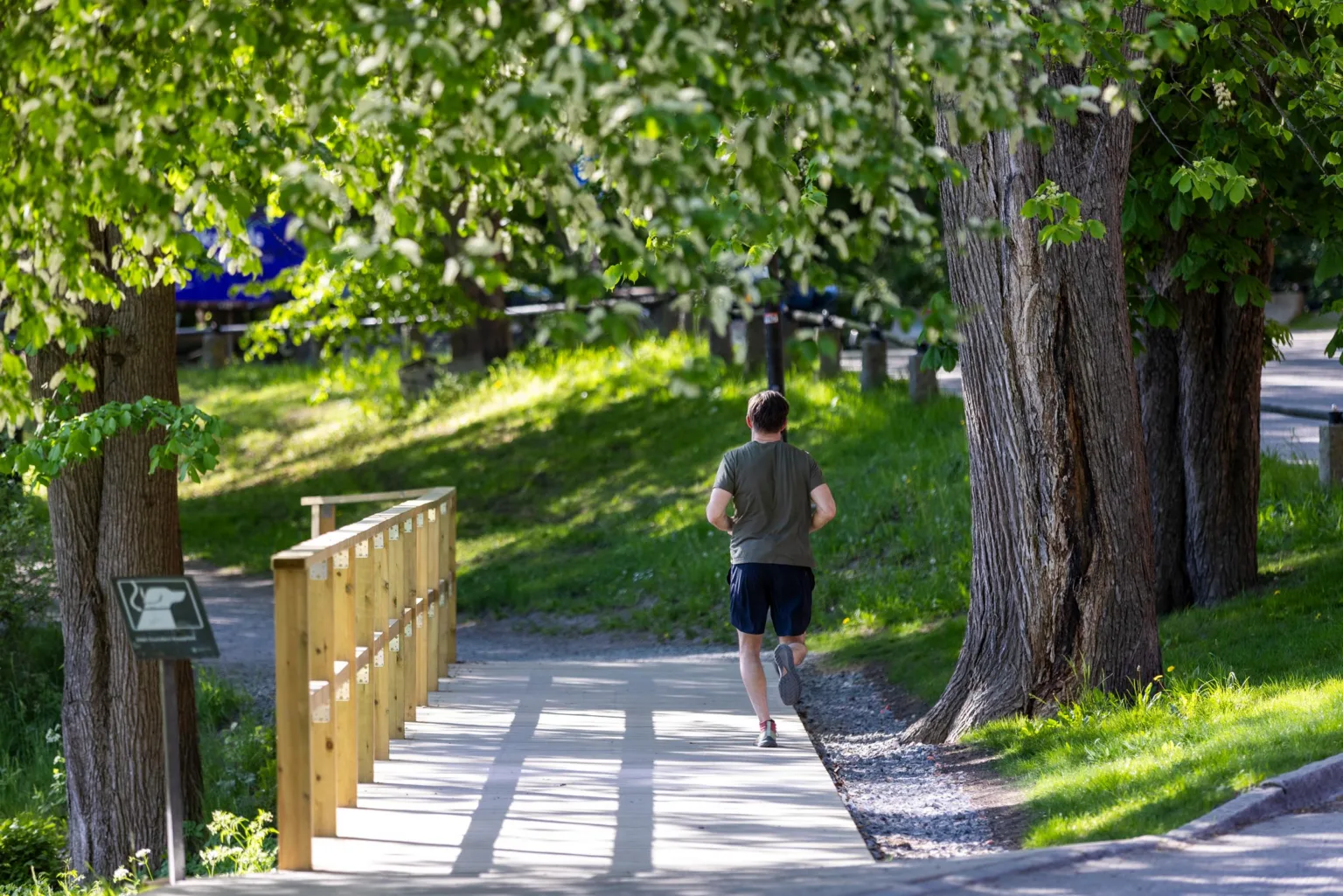 4. Person som joggar på en träbro omgiven av grönska och stora träd i en park.