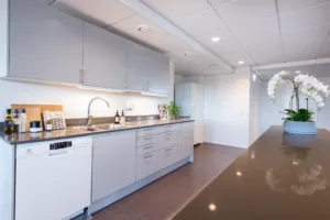 Ett modernt kök med gråa skåp, en diskho, en diskmaskin och en lång bänkskiva.