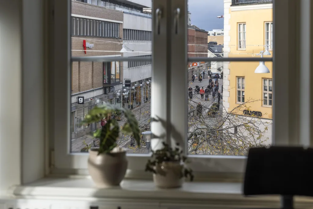 1. Utsikt från ett fönster med två krukväxter på fönsterbrädan och en gata med människor i bakgrunden.