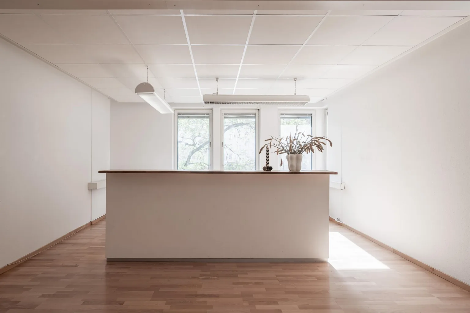 En reception med en vit disk, trägolv och stora fönster som släpper in dagsljus, med en blomkruka som dekoration.