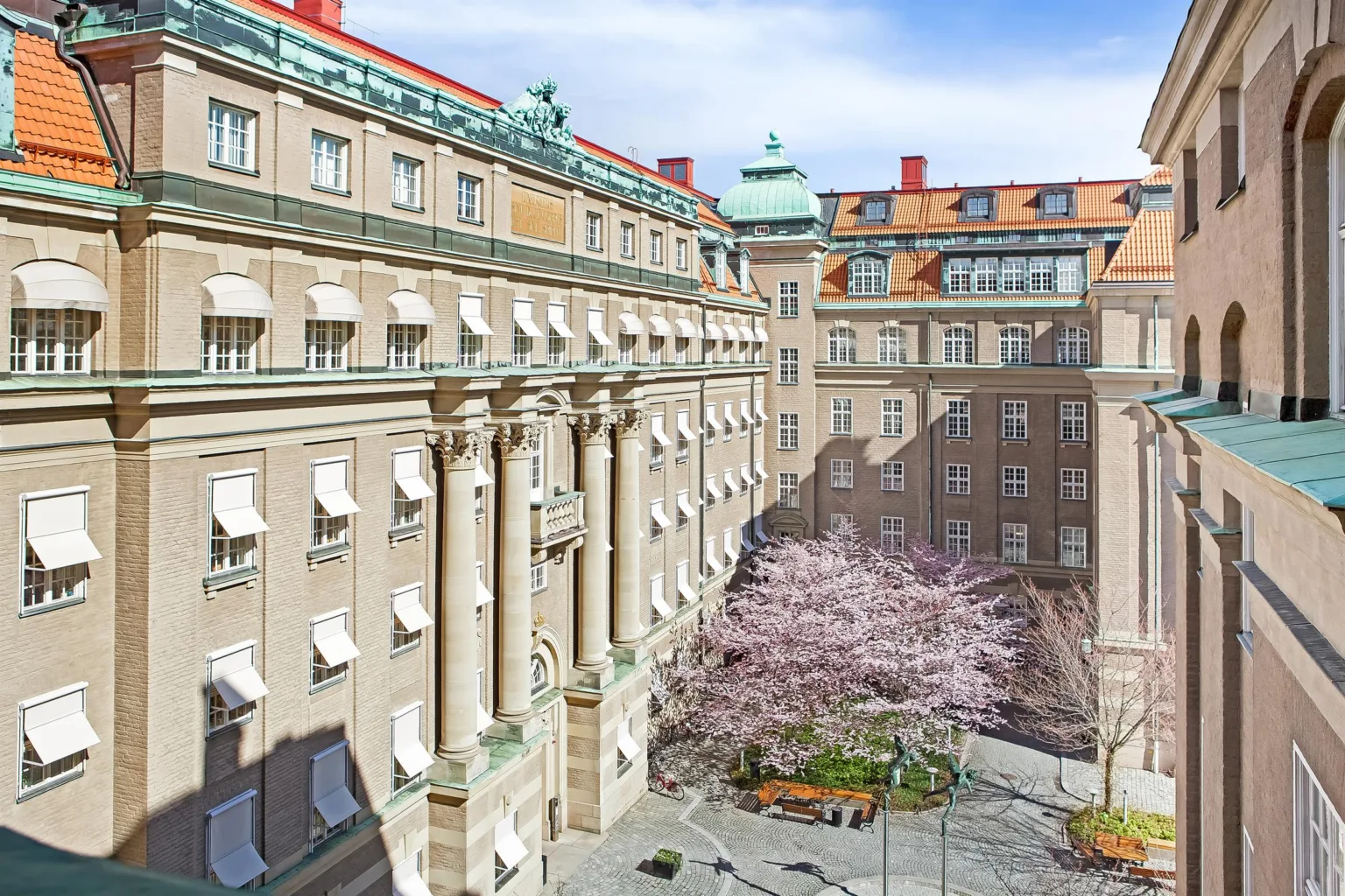 En innergård med körsbärsträd, stenläggning och omgivande byggnader med klassisk arkitektur.