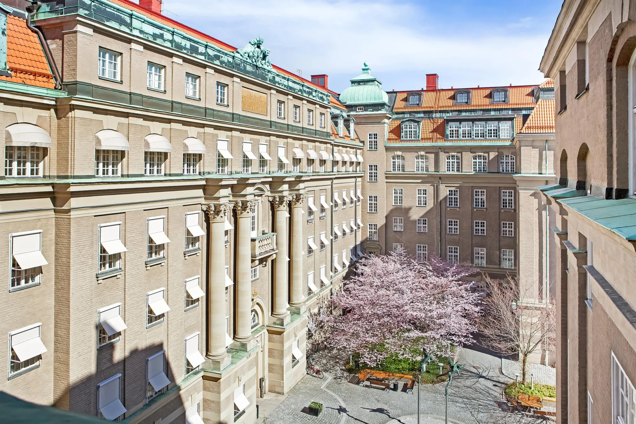 En innergård med körsbärsträd, stenläggning och omgivande byggnader med klassisk arkitektur.