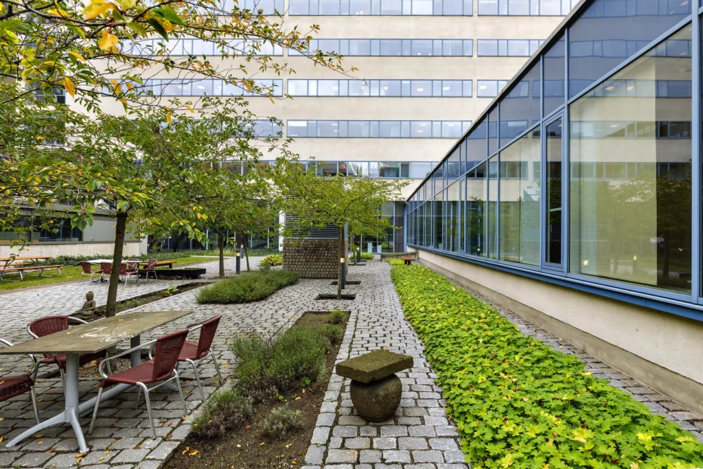 3. En innergård med stenlagda gångar, gröna växter och sittplatser nära en modern byggnad.