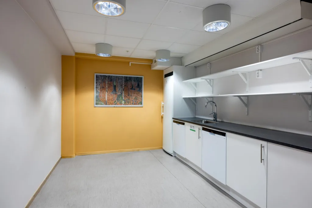 3. Ett kök med vita skåp, en diskbänk och en orange vägg med en tavla.
