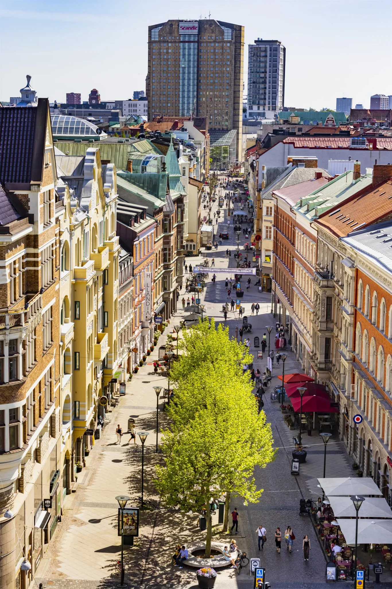 En stadsgata i centrum med grönskande träd, äldre byggnader och människor som promenerar.