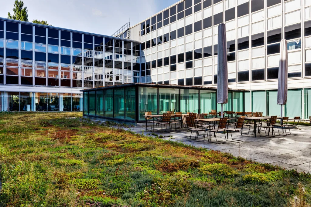 Utomhusområde med grönska och sittplatser, glasväggar och en stor byggnad i bakgrunden.