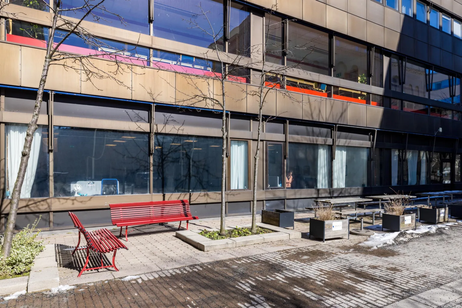 En utomhusgård med röda bänkar, träd utan löv och en modern byggnad med stora fönster i bakgrunden.