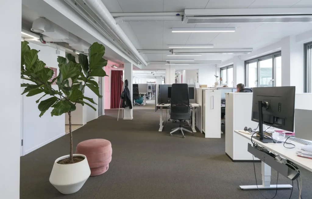 3. Ett öppet kontorslandskap med skrivbord, stolar och en stor grön växt i förgrunden.