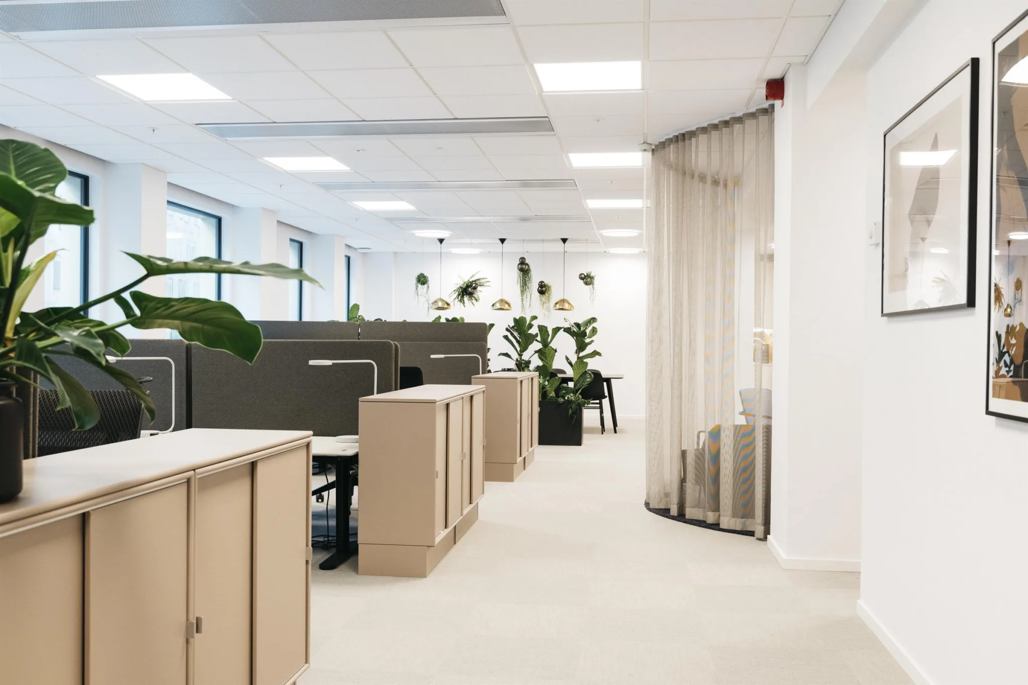 Ett öppet kontorslandskap med arbetsstationer, skåp och gröna växter som dekoration.