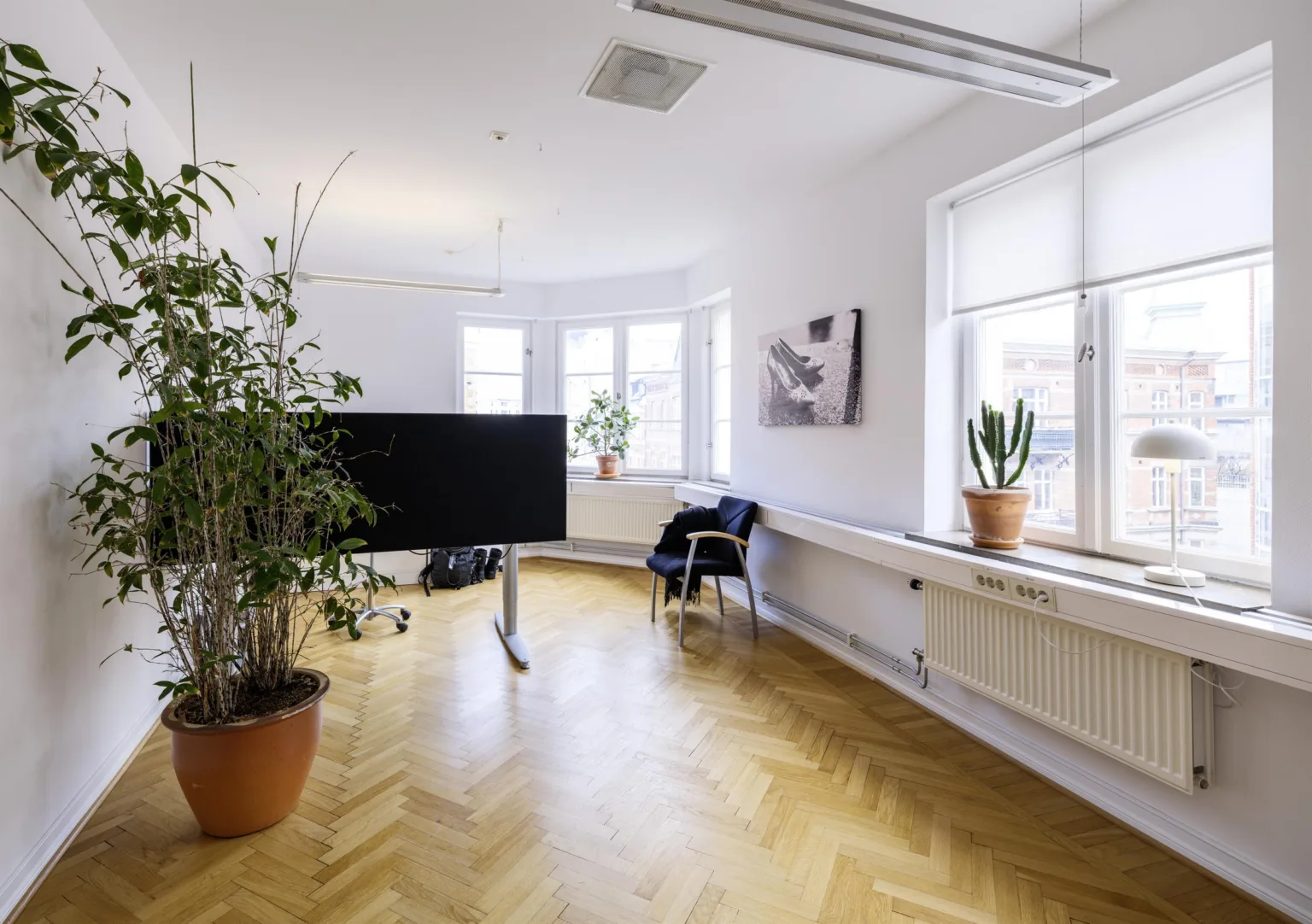 2. Ljust rum med växter, en stor skärm på ett stativ och fönster som släpper in dagsljus.