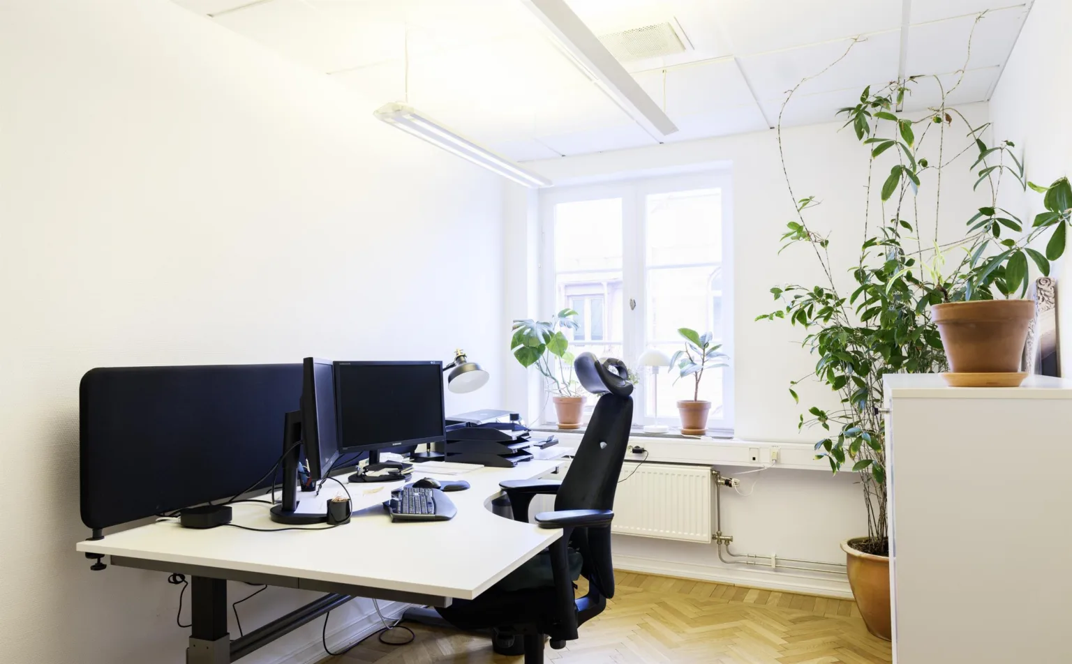 5. Ljust kontorsrum med två skrivbord, stora skärmar, växter och ett fönster med dagsljus.