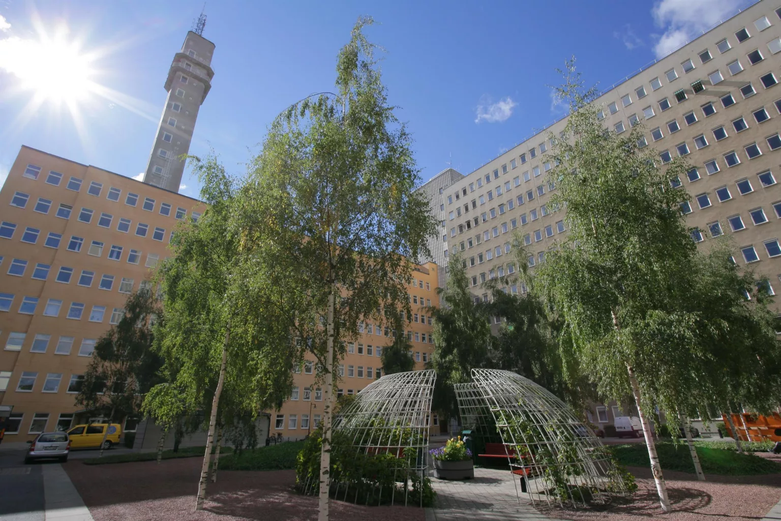 En park med grönskande träd, ett metalliskt växthus och höga byggnader i bakgrunden under en klarblå himmel.