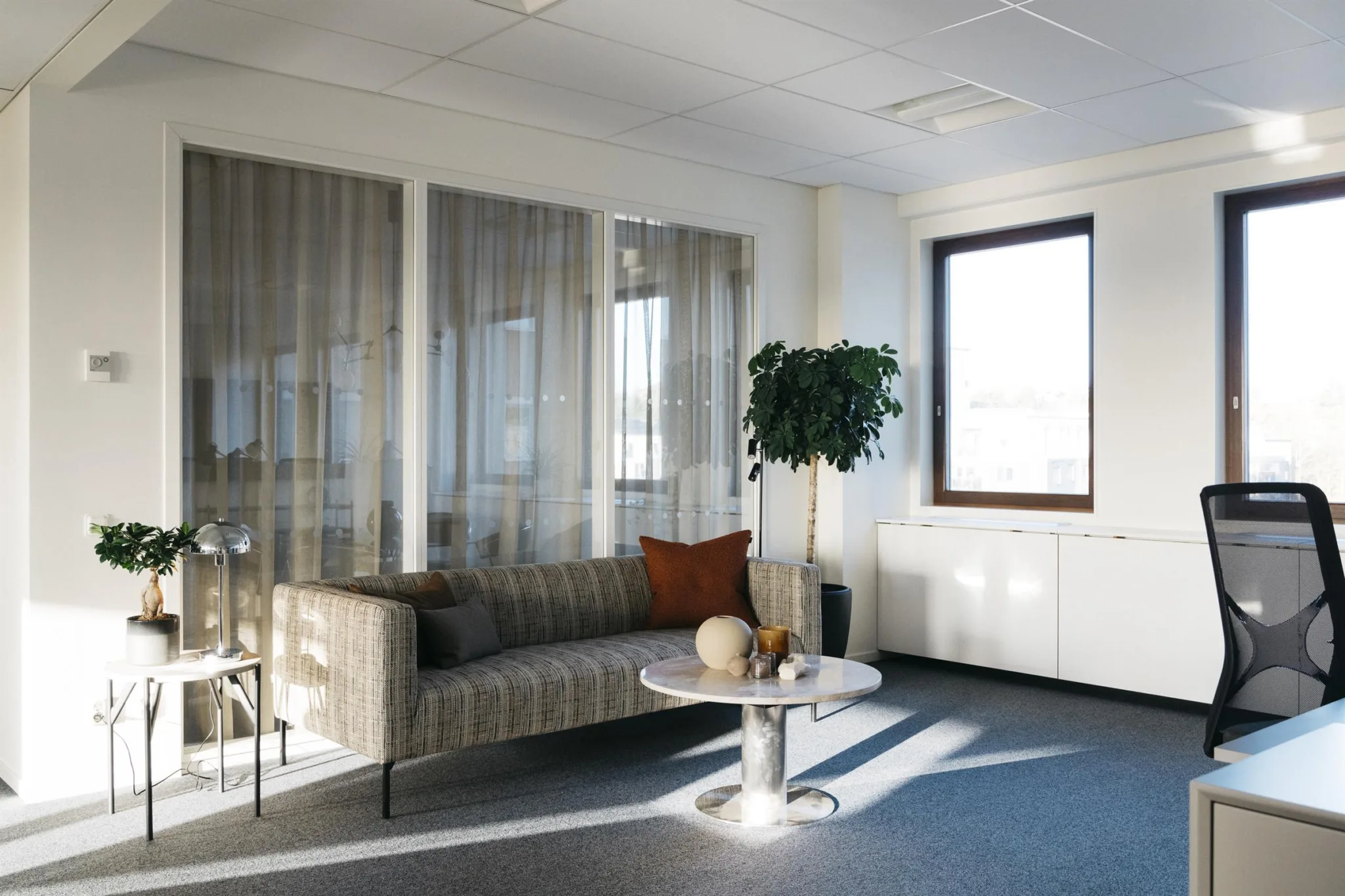 Ett ljust vardagsrum med grå soffa, ett runt soffbord och en stor grön växt bredvid ett fönster.