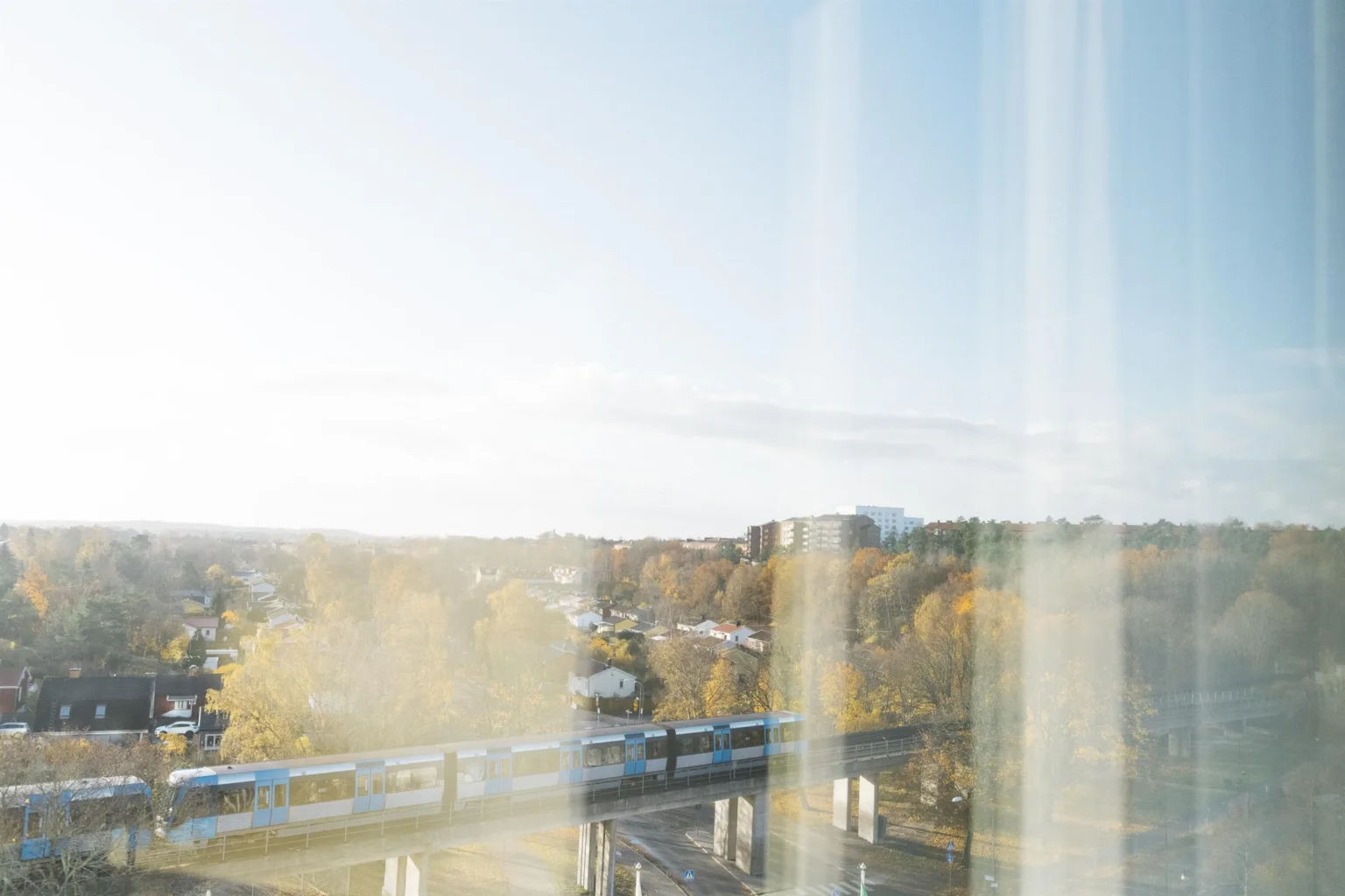 En utsikt över ett bostadsområde med träd och hus, sedd genom ett fönster med ljusa gardiner.