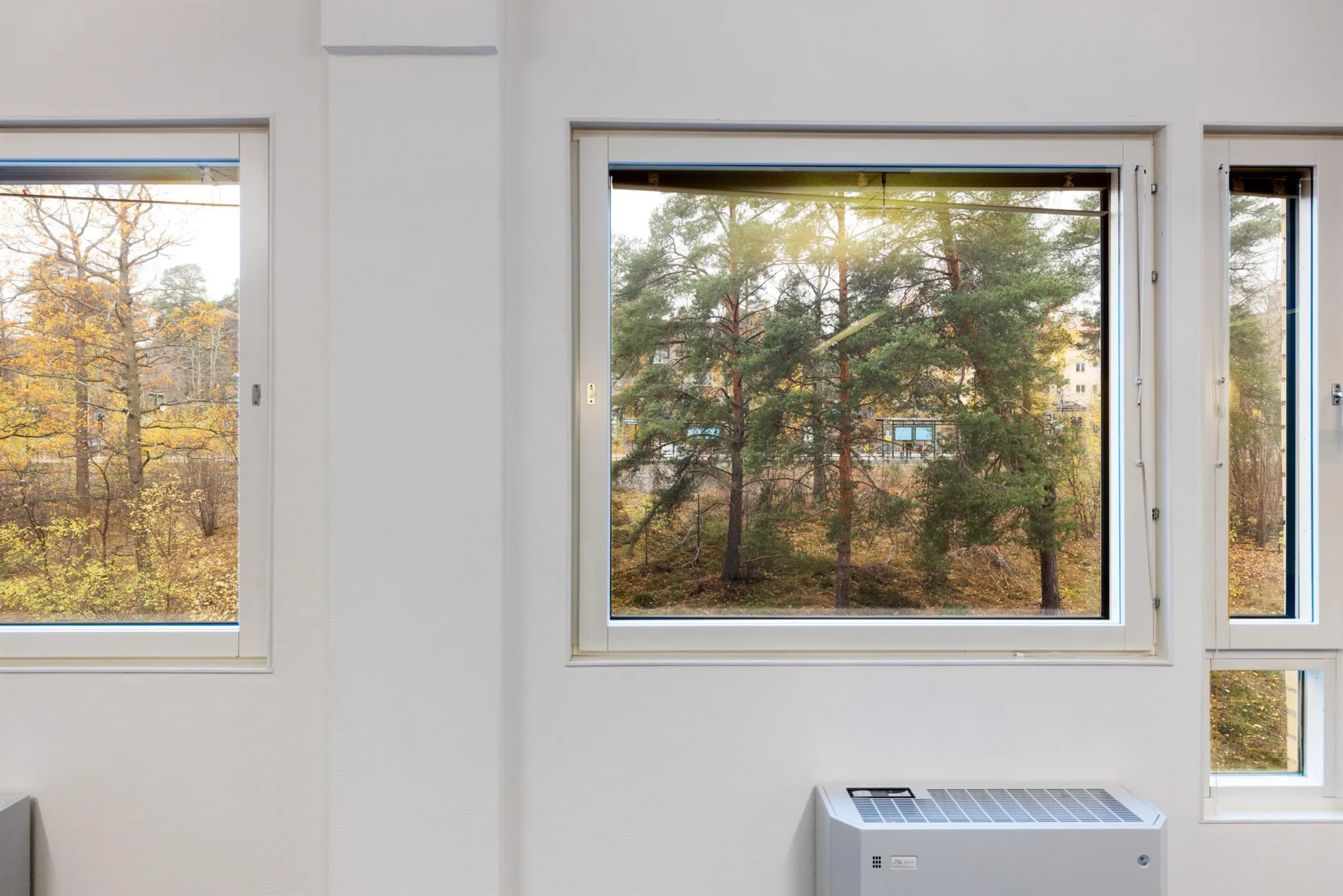 2. Två fönster med utsikt över träd och natur, en radiator syns under det ena fönstret.