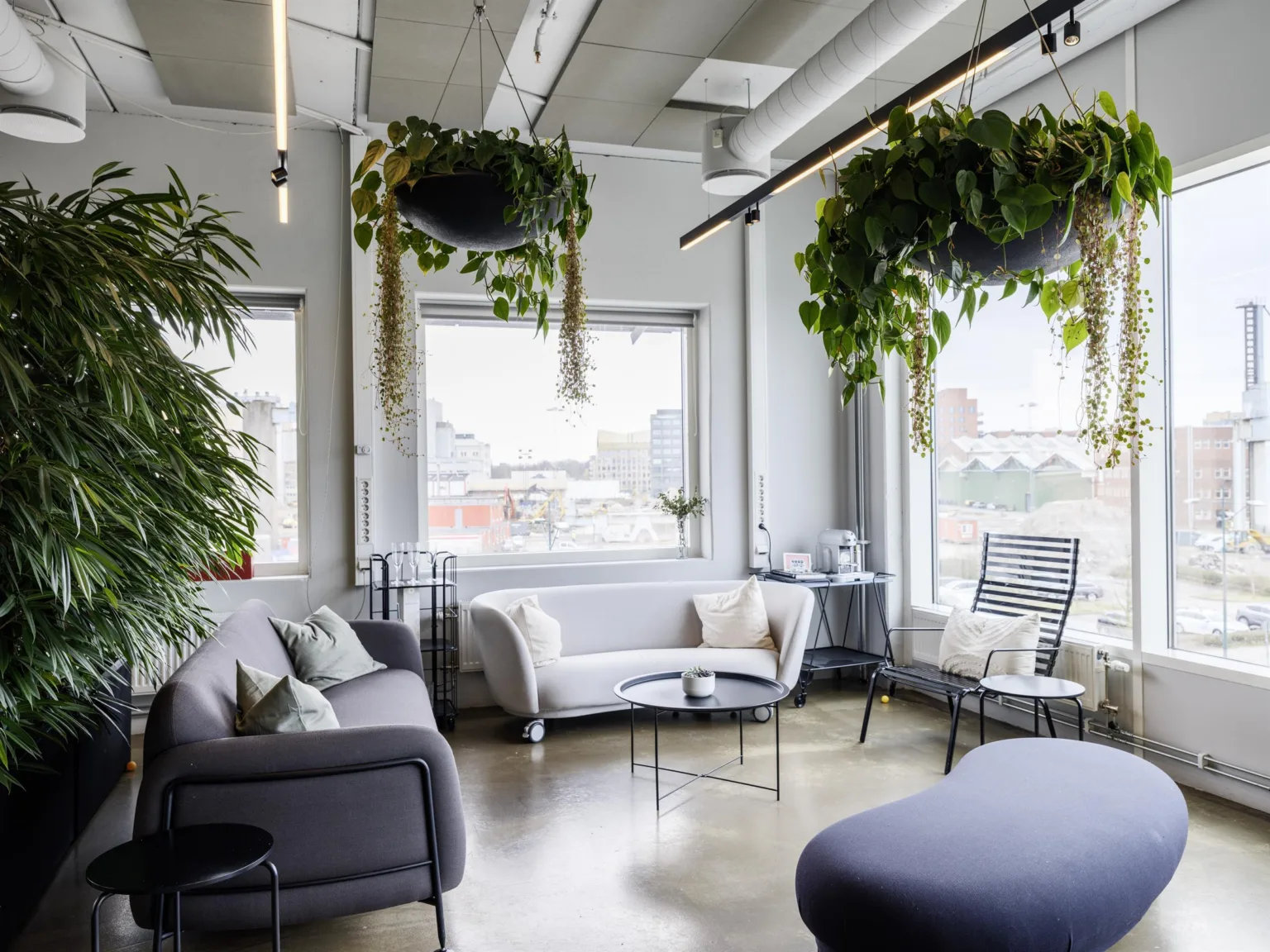 Ett loungeområde med soffor, fåtöljer, bord och rikligt med hängande gröna växter nära fönster.