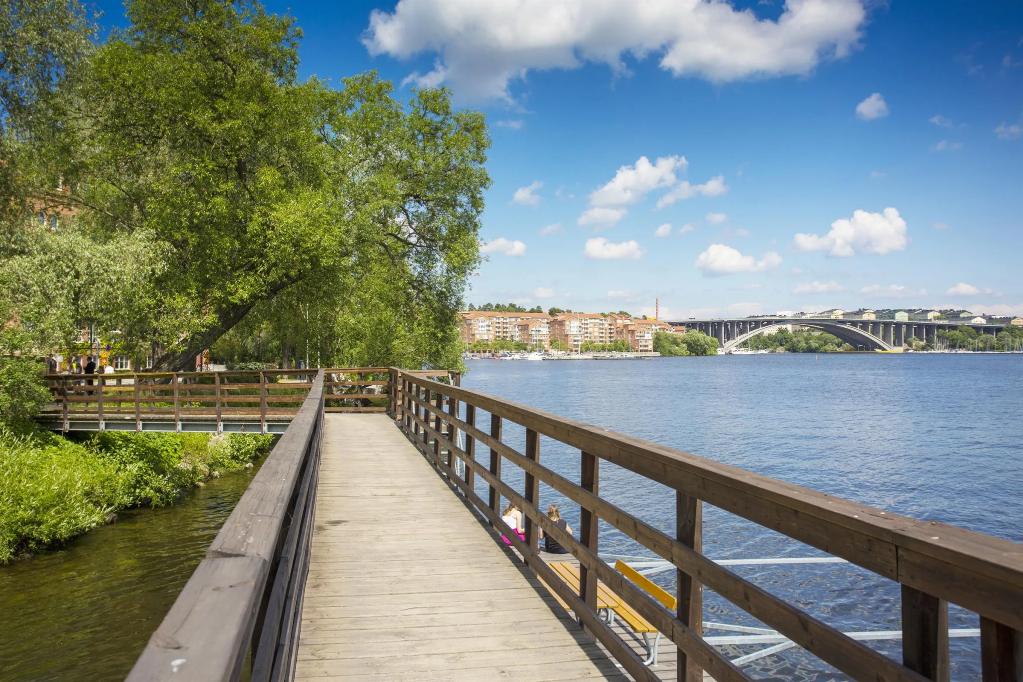 En träbrygga med räcken som sträcker sig längs en sjö, omgiven av träd och med en stadssilhuett i bakgrunden under en blå himmel med moln.